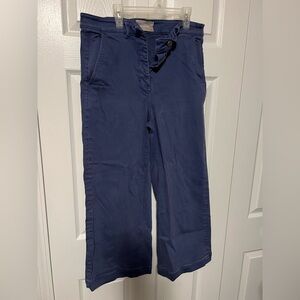 Everlane Utility Pant